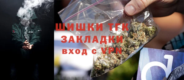 тгк Гусь-Хрустальный