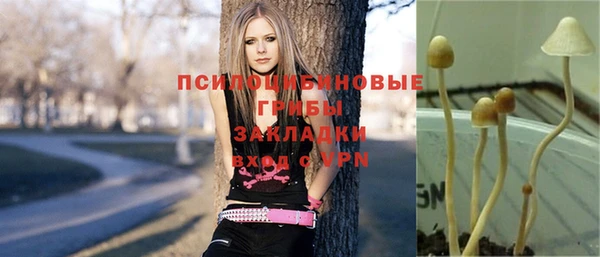 тгк Гусь-Хрустальный