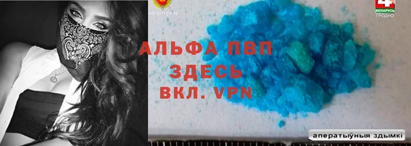 твердый Гусев