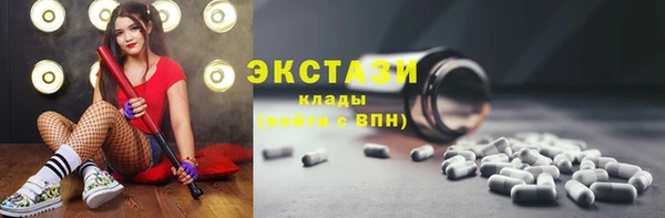 твердый Гусев