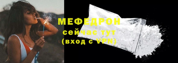 твердый Гусев