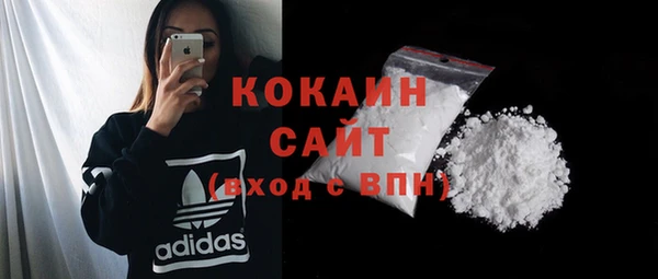 гидра Липки