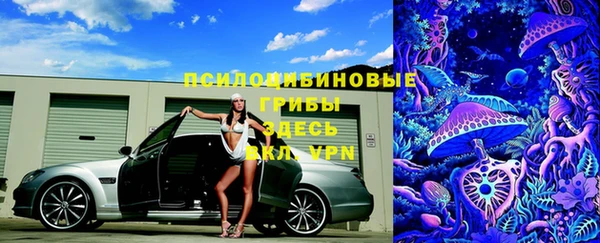 соль ск Гусиноозёрск