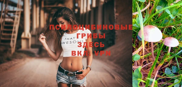 соль ск Гусиноозёрск