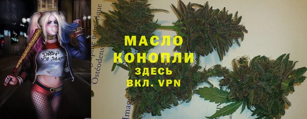 тгк Гусь-Хрустальный