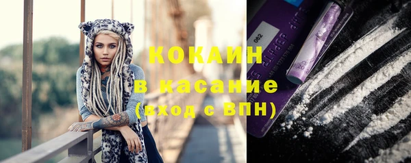 гидра Липки
