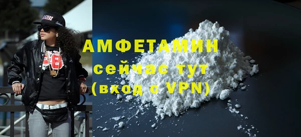 твердый Гусев